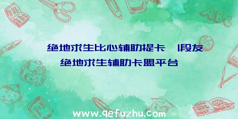 「绝地求生比心辅助提卡」|段友绝地求生辅助卡盟平台